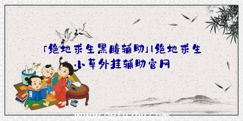 「绝地求生黑瞳辅助」|绝地求生小草外挂辅助官网